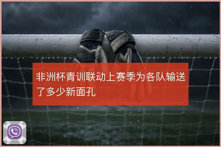 非洲杯青训联动上赛季为各队输送了多少新面孔