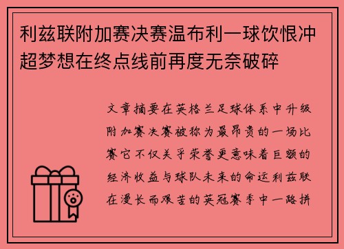 利兹联附加赛决赛温布利一球饮恨冲超梦想在终点线前再度无奈破碎 利兹联附加赛决赛温布利一球饮恨冲超梦想在终点线前再度无奈破碎